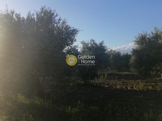 Αγροτεμάχια 4.000 τ.μ. για πώληση, Ν. Ηρακλείου, Γορτύνα-thumb-9