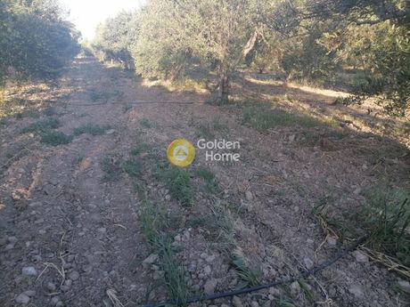 Parcel 4.000sqm for sale-Gortina » Plora