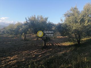 Αγροτεμάχια 4.000 τ.μ. για πώληση, Ν. Ηρακλείου, Γορτύνα-thumb-5