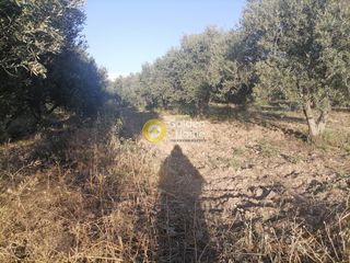 Αγροτεμάχια 4.000 τ.μ. για πώληση, Ν. Ηρακλείου, Γορτύνα-thumb-10