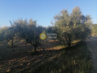 Αγροτεμάχια 4.000 τ.μ. για πώληση, Ν. Ηρακλείου, Γορτύνα-thumb-3