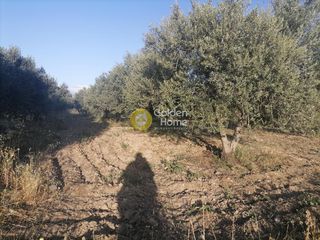 Αγροτεμάχια 4.000 τ.μ. για πώληση, Ν. Ηρακλείου, Γορτύνα-thumb-11