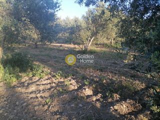 Αγροτεμάχια 4.000 τ.μ. για πώληση, Ν. Ηρακλείου, Γορτύνα-thumb-1