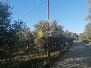 Αγροτεμάχια 4.000 τ.μ. για πώληση, Ν. Ηρακλείου, Γορτύνα-thumb-8