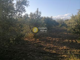 Αγροτεμάχια 4.000 τ.μ. για πώληση, Ν. Ηρακλείου, Γορτύνα-thumb-2