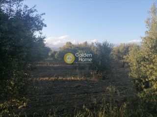 Αγροτεμάχια 4.000 τ.μ. για πώληση, Ν. Ηρακλείου, Γορτύνα-thumb-4