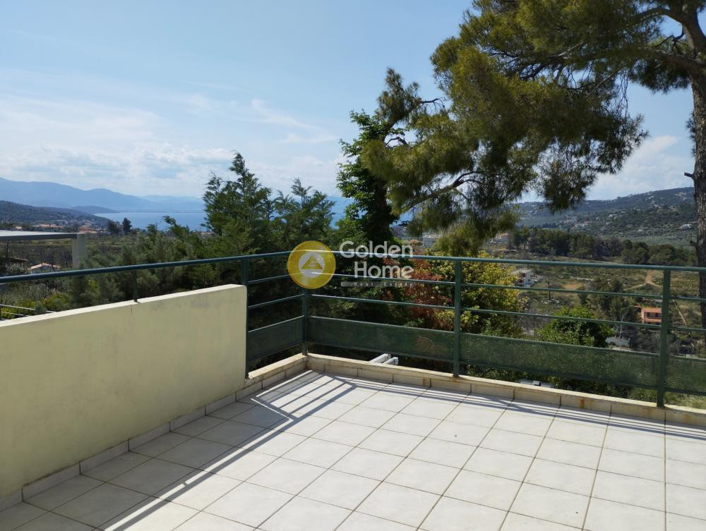 Μονοκατοικία 170 τ.μ. πρός πώληση, Φθιώτιδας, Μαλεσίνα