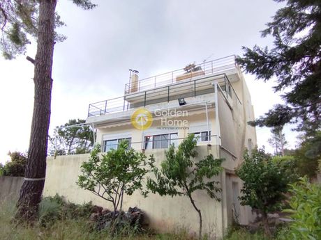 Detached home 170sqm for sale-Malesina » Theologos