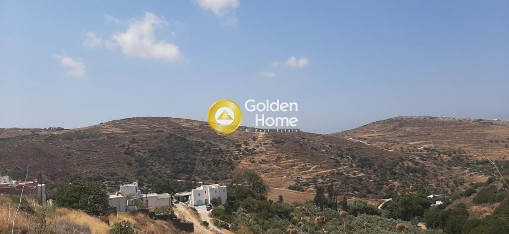 Οικόπεδο 8.500 τ.μ. προς πώληση, Μέση Ποταμιά