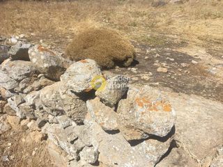 Οικόπεδο 2.500 τ.μ. για ενοικίαση, Κυκλάδες, Μύκονος-thumb-2