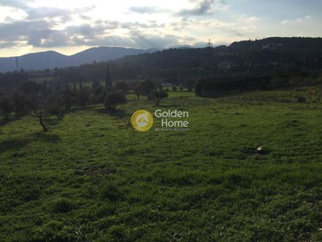 Parcel 4.060sqm for sale-Polidendri