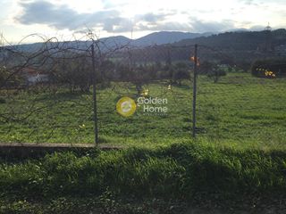 Αγροτεμάχια 4.060 τ.μ. προς πώληση, Πολυδένδρι Αττικής-thumb-4