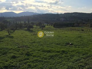 Αγροτεμάχια 4.060 τ.μ. προς πώληση, Πολυδένδρι Αττικής-thumb-2