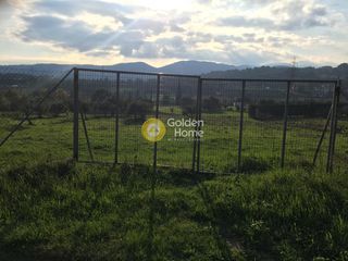 Αγροτεμάχια 4.060 τ.μ. προς πώληση, Πολυδένδρι Αττικής-thumb-3