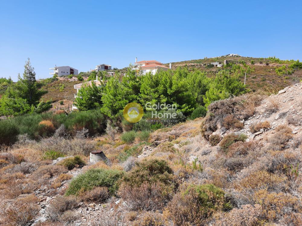 Οικόπεδο 986 τ.μ. προς πώληση, Διώνη Πικερμίου
