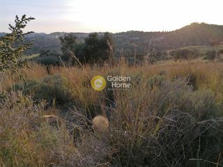 Αγροτεμάχια 3.450 τ.μ. προς πώληση, Σίβας-thumb-3
