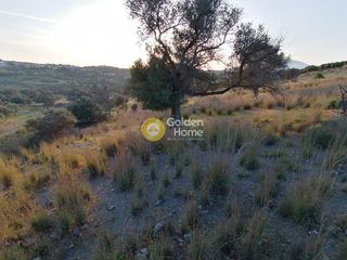 Αγροτεμάχια 3.450 τ.μ. προς πώληση, Σίβας-thumb-20