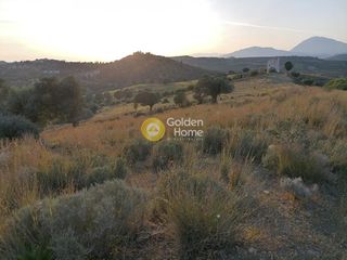 Αγροτεμάχια 3.450 τ.μ. προς πώληση, Σίβας-thumb-9