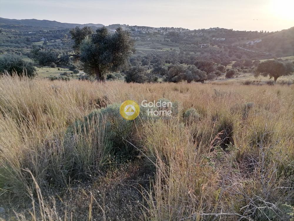 Αγροτεμάχια 3.450 τ.μ. προς πώληση, Σίβας