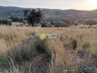Αγροτεμάχια 3.450 τ.μ. προς πώληση, Σίβας-thumb-4