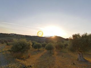 Αγροτεμάχια 3.450 τ.μ. προς πώληση, Σίβας-thumb-2