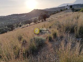 Αγροτεμάχια 3.450 τ.μ. προς πώληση, Σίβας-thumb-6