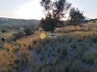 Αγροτεμάχια 3.450 τ.μ. προς πώληση, Σίβας-thumb-17