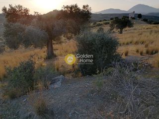 Αγροτεμάχια 3.450 τ.μ. προς πώληση, Σίβας-thumb-12