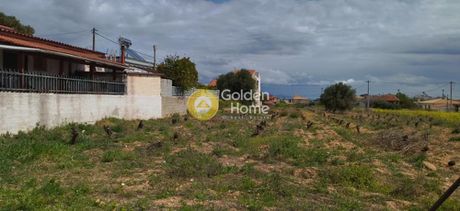 Land plot 800sqm for sale-Artemida (Loutsa) » Ypapanti