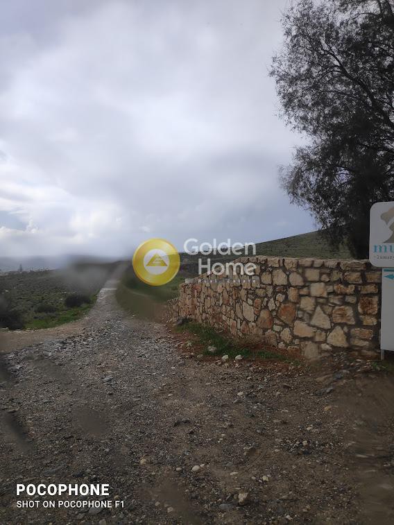 Οικόπεδο 14.000 τ.μ. προς πώληση, Καλαμάκι Τυμπακίου
