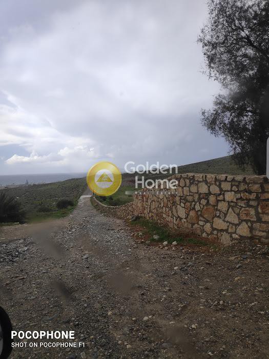 Οικόπεδο 14.000 τ.μ. προς πώληση, Καλαμάκι Τυμπακίου