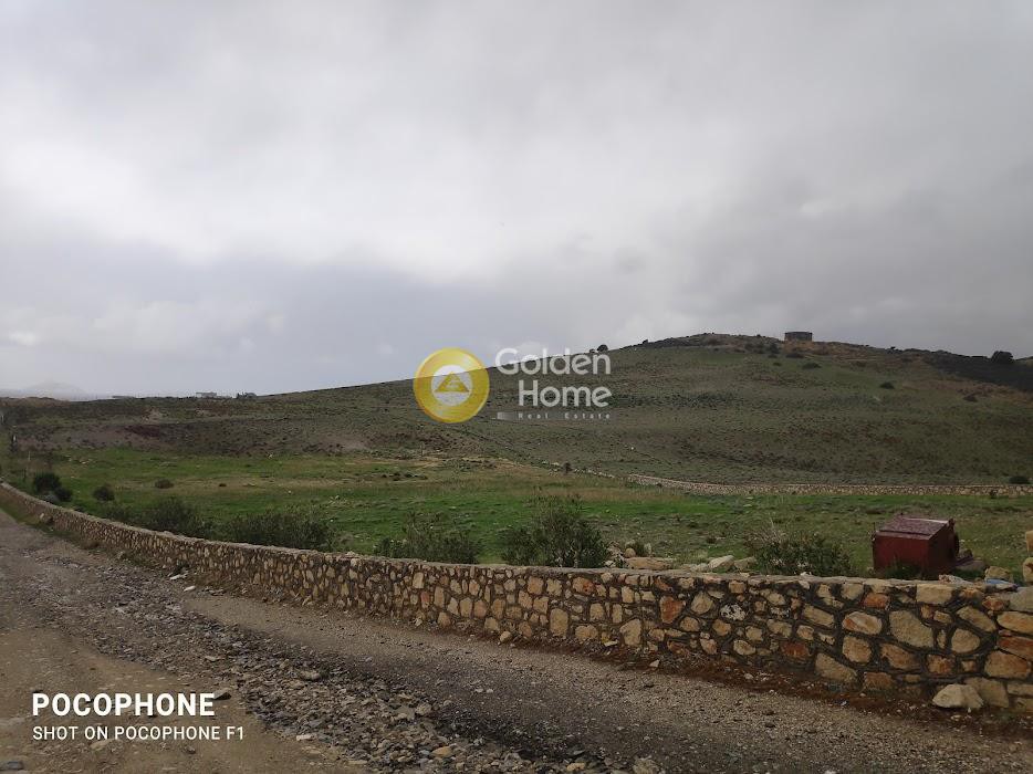 Οικόπεδο 14.000 τ.μ. προς πώληση, Καλαμάκι Τυμπακίου