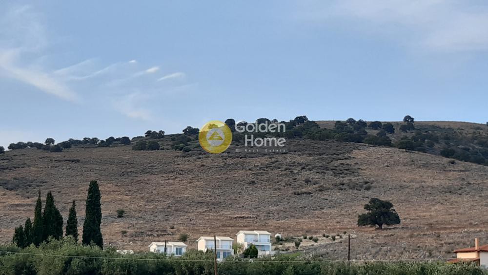 Αγροτεμάχια 1.500 τ.μ. προς πώληση, Άγιος Γεώργιος Γαλαξιδίου