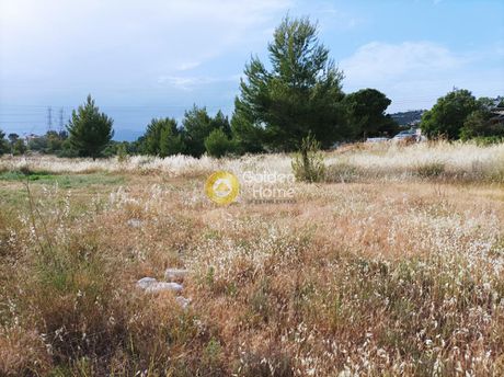 Αγροτεμάχια 11.000τ.μ. για πώληση-Γέρακας » Δέση