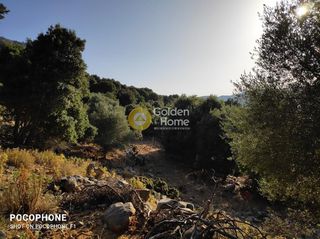 Οικόπεδο 14.666 τ.μ. για πώληση, Ν. Ηρακλείου, Καστέλλι-thumb-1