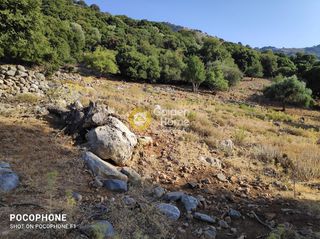 Οικόπεδο 14.666 τ.μ. για πώληση, Ν. Ηρακλείου, Καστέλλι-thumb-13