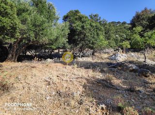 Οικόπεδο 14.666 τ.μ. για πώληση, Ν. Ηρακλείου, Καστέλλι-thumb-7
