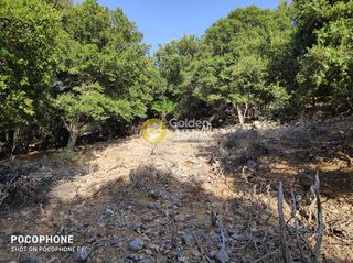 Οικόπεδο 14.666 τ.μ. για πώληση, Ν. Ηρακλείου, Καστέλλι-thumb-4