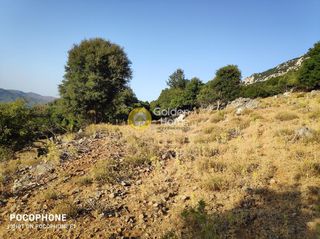 Οικόπεδο 14.666 τ.μ. για πώληση, Ν. Ηρακλείου, Καστέλλι-thumb-18