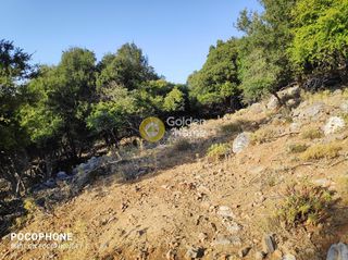 Οικόπεδο 14.666 τ.μ. για πώληση, Ν. Ηρακλείου, Καστέλλι-thumb-11