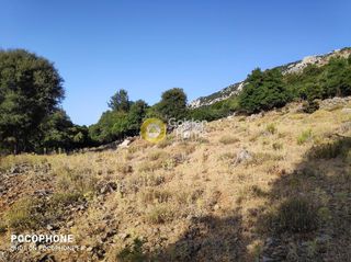 Οικόπεδο 14.666 τ.μ. για πώληση, Ν. Ηρακλείου, Καστέλλι-thumb-19