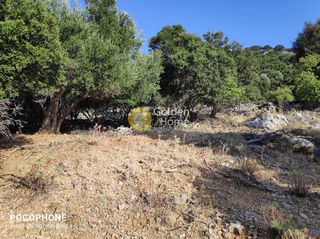 Οικόπεδο 14.666 τ.μ. για πώληση, Ν. Ηρακλείου, Καστέλλι-thumb-8
