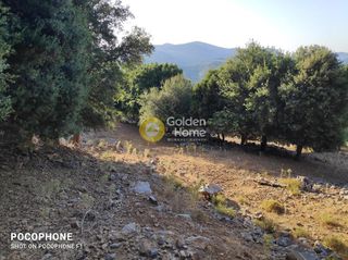 Οικόπεδο 14.666 τ.μ. για πώληση, Ν. Ηρακλείου, Καστέλλι-thumb-20