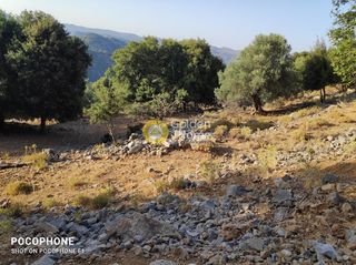 Οικόπεδο 14.666 τ.μ. για πώληση, Ν. Ηρακλείου, Καστέλλι-thumb-21
