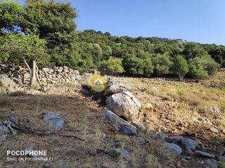 Οικόπεδο 14.666 τ.μ. για πώληση, Ν. Ηρακλείου, Καστέλλι-thumb-14