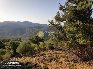 Οικόπεδο 14.666 τ.μ. για πώληση, Ν. Ηρακλείου, Καστέλλι-thumb-12