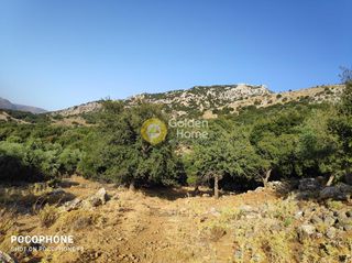 Οικόπεδο 14.666 τ.μ. για πώληση, Ν. Ηρακλείου, Καστέλλι-thumb-27