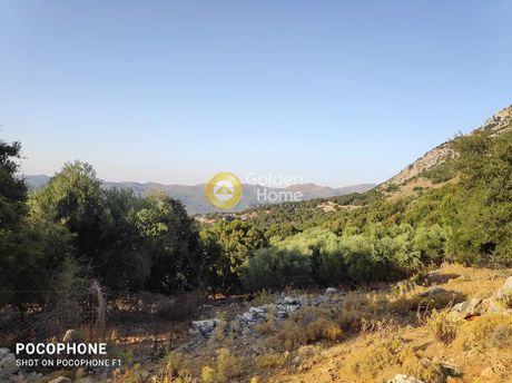 Οικόπεδο 14.666τ.μ. για πώληση-Καστέλλι » Τοίχος