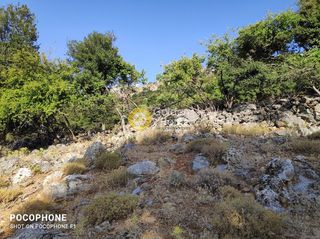 Οικόπεδο 14.666 τ.μ. για πώληση, Ν. Ηρακλείου, Καστέλλι-thumb-16
