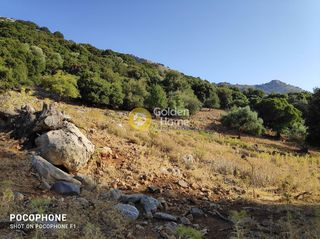 Οικόπεδο 14.666 τ.μ. για πώληση, Ν. Ηρακλείου, Καστέλλι-thumb-15